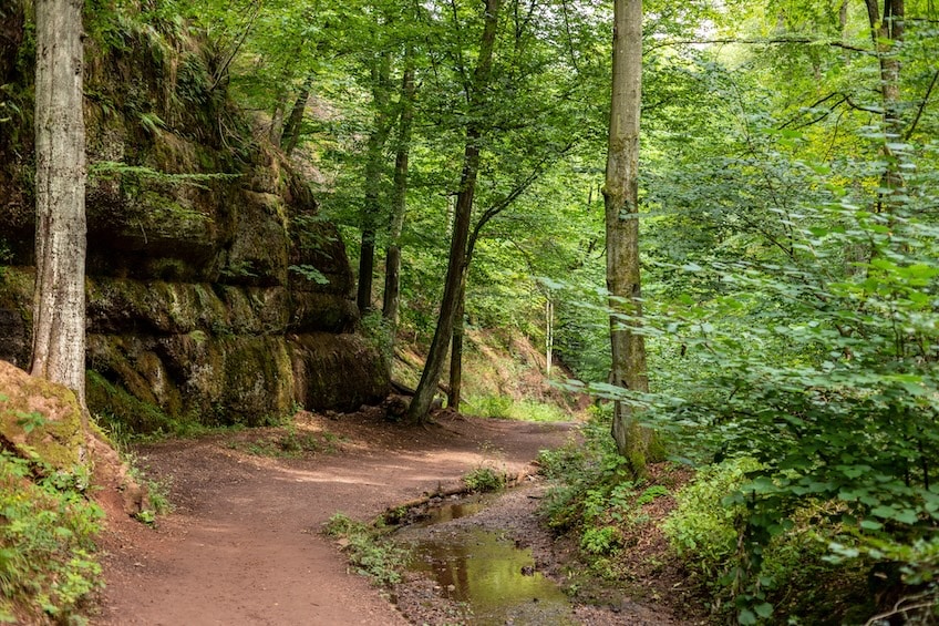 Weiter Blick über die offene Kuppenlandschaft der Rhön entlang des Hochrhöner Wanderwegs
